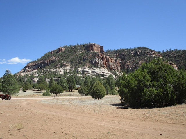 10 Cliff Rose Ct, Ramah, NM 87321