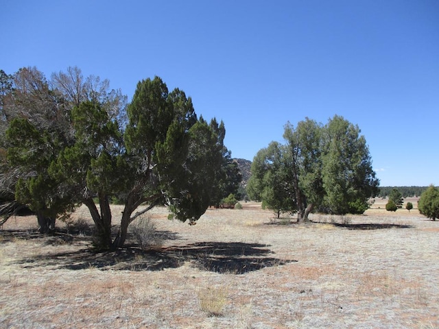 10 Cliff Rose Ct, Ramah, NM 87321