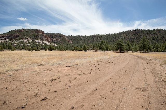 10 Cliff Rose Ct, Ramah, NM 87321