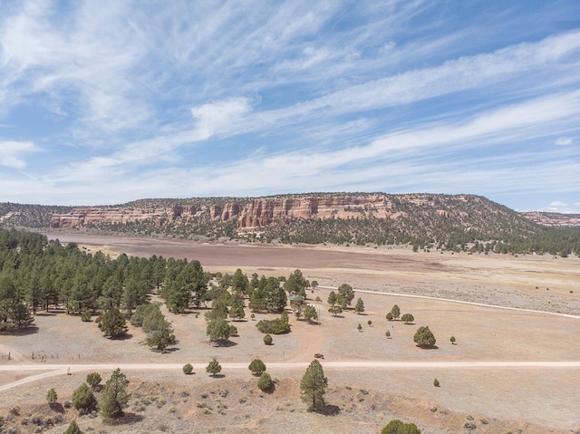 10 Cliff Rose Ct, Ramah, NM 87321