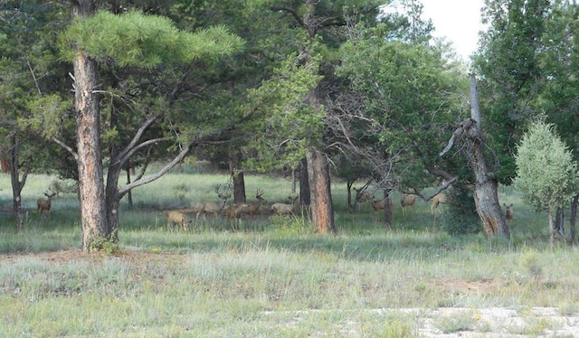 10 Cliff Rose Ct, Ramah, NM 87321