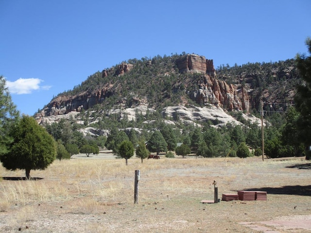 10 Cliff Rose Ct, Ramah, NM 87321