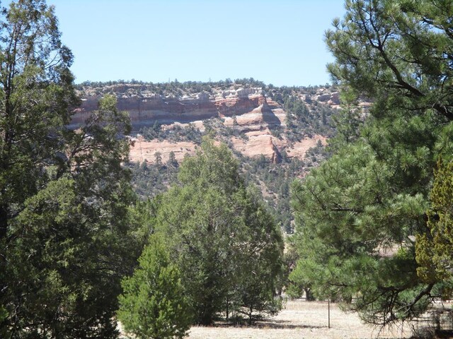10 Cliff Rose Ct, Ramah, NM 87321