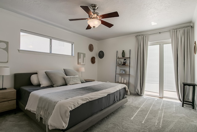 6109 Chamblee Ct NE, Albuquerque, NM 87111 - bedroom featuring carpet, access to outside, a textured ceiling, ceiling fan, and ornamental molding