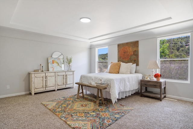 7 Corte De Canoncito, Cedar Crest, NM 87008 - carpeted bedroom with a raised ceiling and baseboards