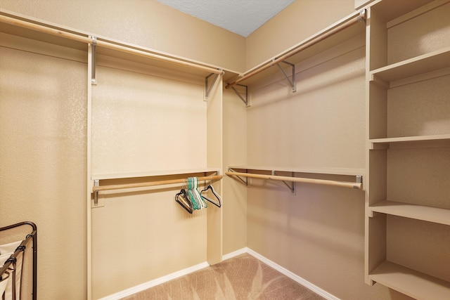 5443 Reserve Ct NE, Rio Rancho, NM 87144 - walk in closet with carpet