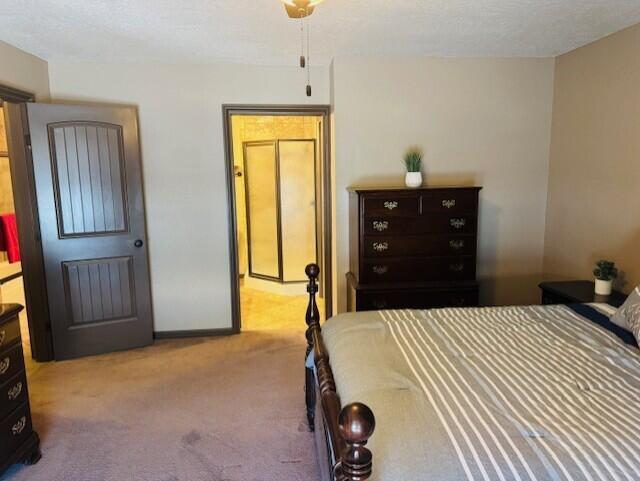 7565 Prairie Rd NE, Albuquerque, NM 87109 - photo 14