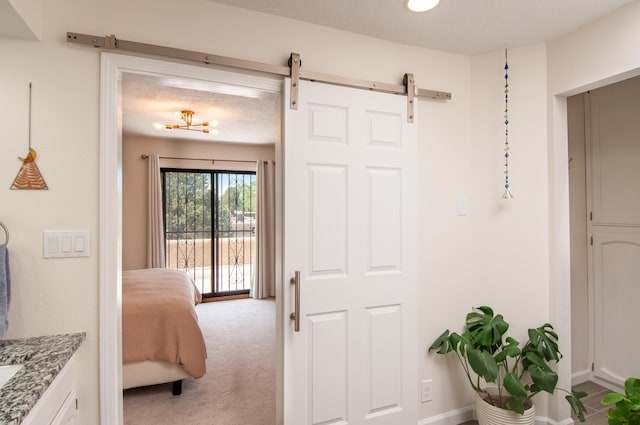 6820 Los Trechos Ct NE, Albuquerque, NM 87109 - corridor featuring a barn door, light colored carpet, and a textured ceiling