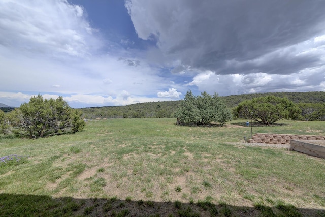 42 Los Pecos Loop, Tijeras, NM 87059 - view of grassy yard