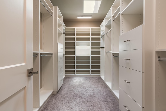 5402 Grays Peak Trl NE, Rio Rancho, NM 87144 - spacious closet featuring light carpet