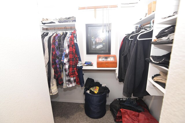 10812 Caresso SW, Albuquerque, NM 87121 - spacious closet with carpet flooring