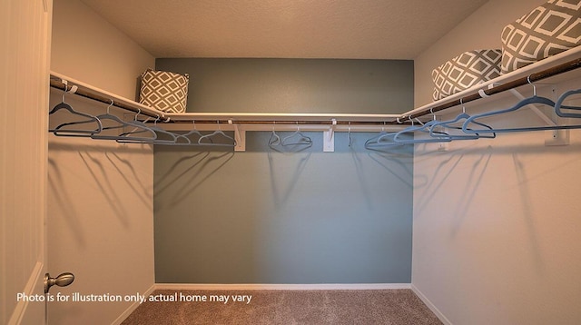 1652 Maggie Ct NE, Rio Rancho, NM 87144 - spacious closet with carpet flooring