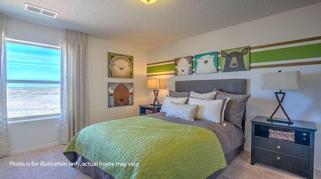 1652 Maggie Ct NE, Rio Rancho, NM 87144 - bedroom featuring carpet and a textured ceiling