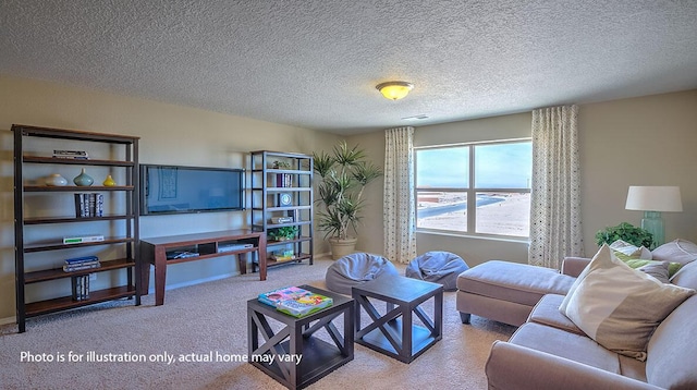 1652 Maggie Ct NE, Rio Rancho, NM 87144 - living area featuring carpet floors and a textured ceiling