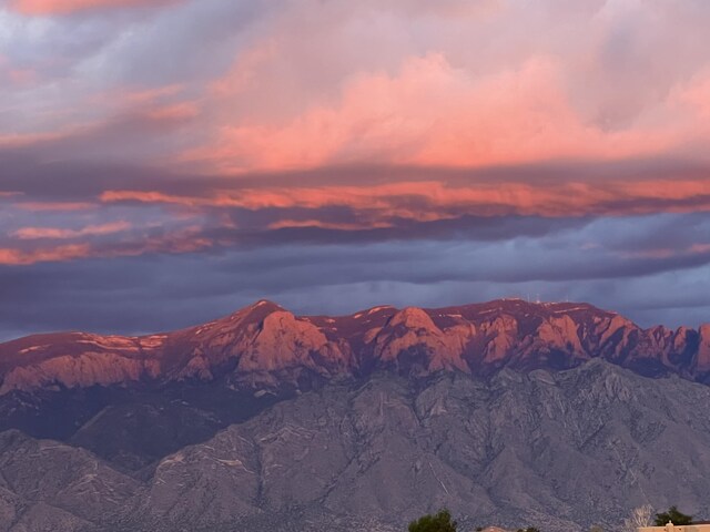 6247 Kalgan Rd NE, Rio Rancho, NM 87144 - photo 26