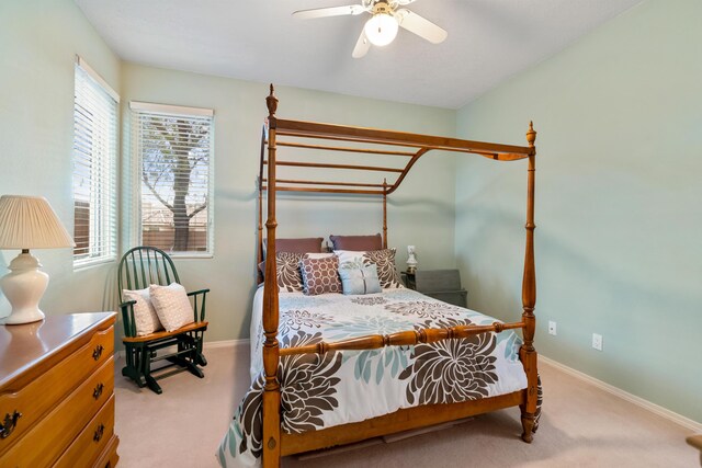 12116 Coral Dawn Rd, Albuquerque, NM 87122 - photo 44