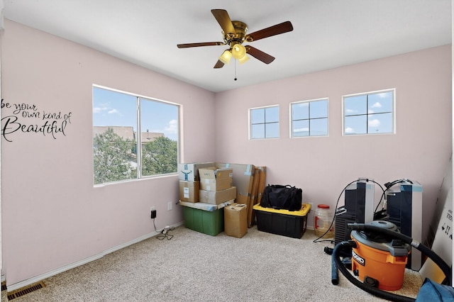 4249 Montera Pl NW, Albuquerque, NM 87114 - interior space featuring plenty of natural light, carpet floors, and a ceiling fan