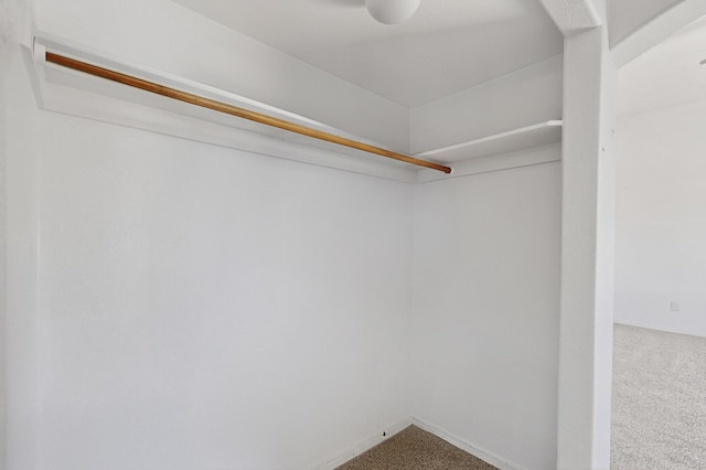4249 Montera Pl NW, Albuquerque, NM 87114 - walk in closet with carpet