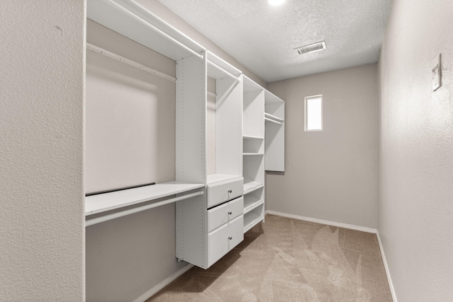 716 Palo Duro Dr, Bernalillo, NM 87004 - spacious closet with light carpet