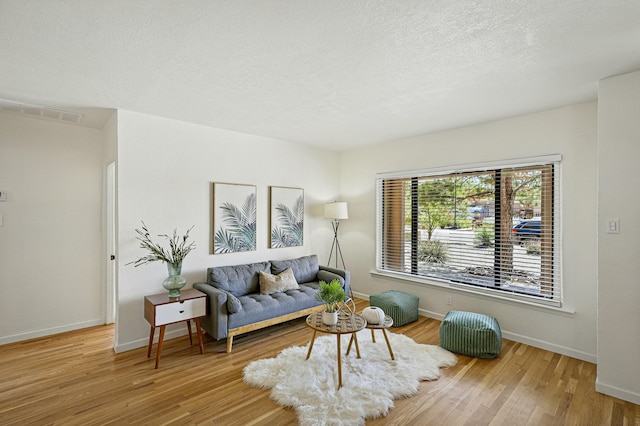 1202 Truman St SE, Albuquerque, NM 87108 - living area featuring wood finished floors and a textured ceiling