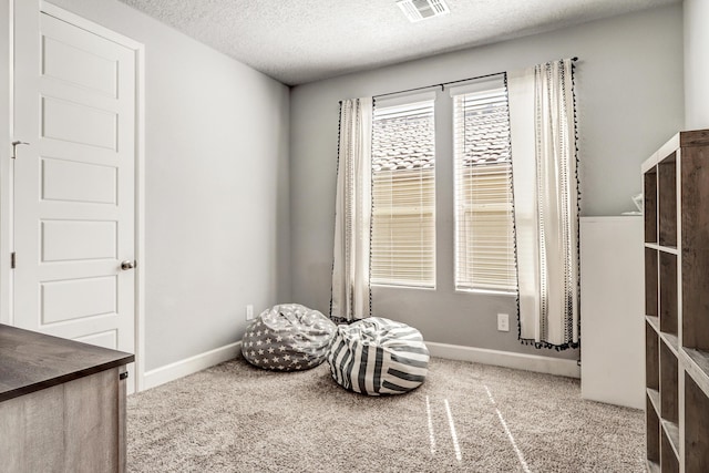 2530 Guadalupe Rd NE, Rio Rancho, NM 87144 - sitting room with a textured ceiling and carpet floors