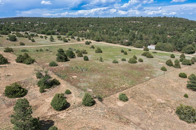 25 Mockingbird Hill Rd, Tijeras, NM 87059 - photo 10