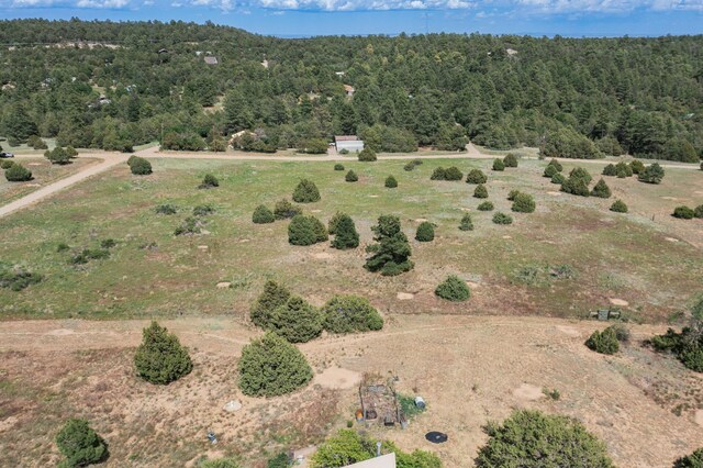 25 Mockingbird Hill Rd, Tijeras, NM 87059 - photo 9
