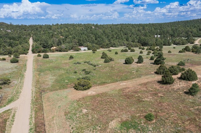 25 Mockingbird Hill Rd, Tijeras, NM 87059 - photo 8