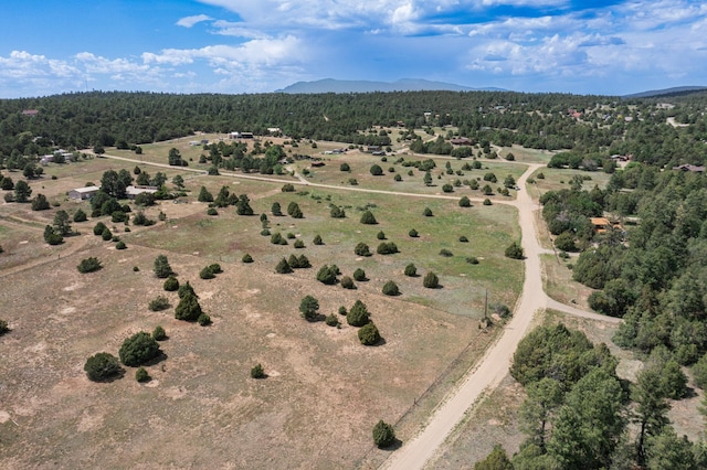 25 Mockingbird Hill Rd, Tijeras, NM 87059 - photo 7