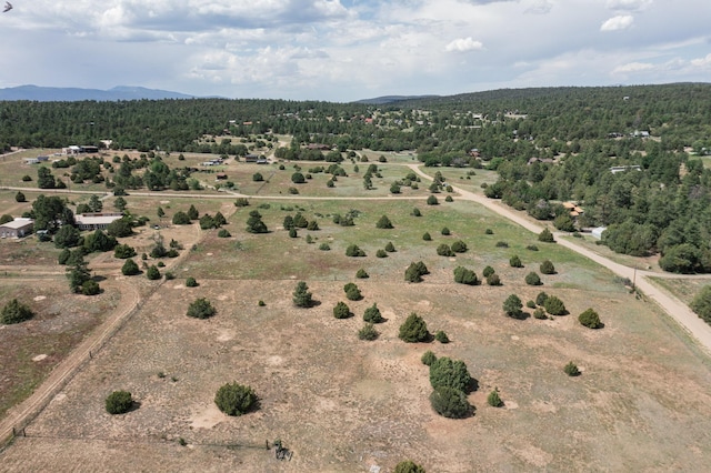 25 Mockingbird Hill Rd, Tijeras, NM 87059 - photo 6