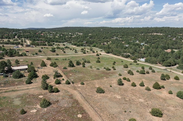25 Mockingbird Hill Rd, Tijeras, NM 87059 - photo 5