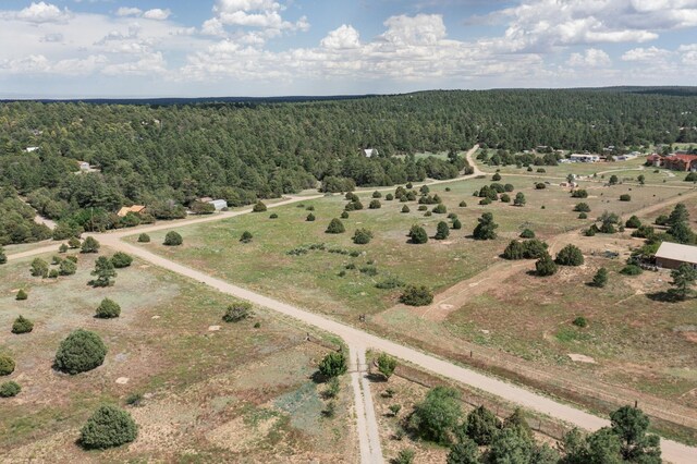 25 Mockingbird Hill Rd, Tijeras, NM 87059 - photo 4