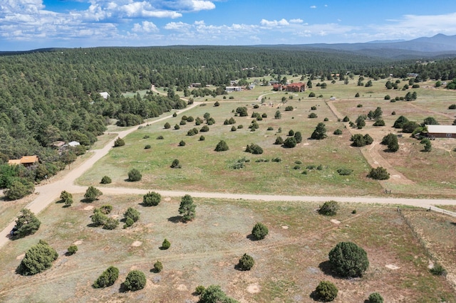 25 Mockingbird Hill Rd, Tijeras, NM 87059 - photo 3