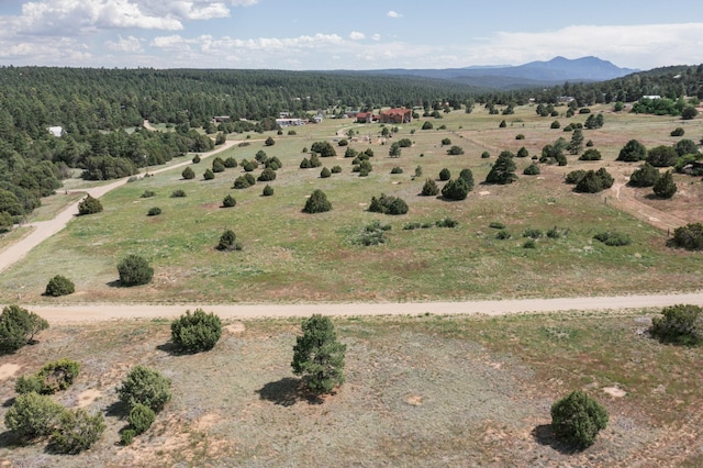 25 Mockingbird Hill Rd, Tijeras, NM 87059 - photo 2
