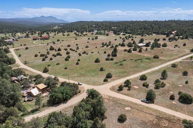 25 Mockingbird Hill Rd, Tijeras, NM 87059 - photo 1