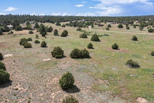 25 Mockingbird Hill Rd, Tijeras, NM 87059 - photo 18