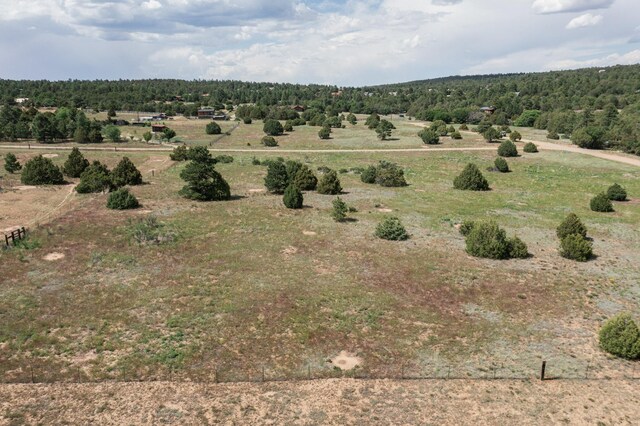 25 Mockingbird Hill Rd, Tijeras, NM 87059 - photo 17