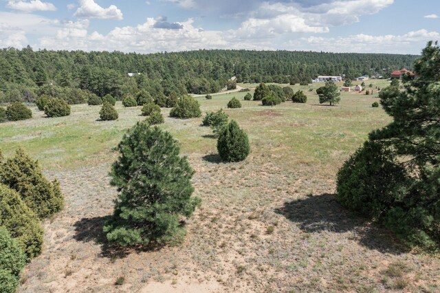 25 Mockingbird Hill Rd, Tijeras, NM 87059 - photo 16