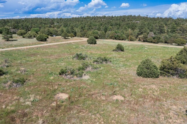25 Mockingbird Hill Rd, Tijeras, NM 87059 - photo 15