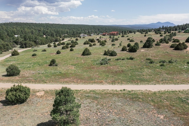 25 Mockingbird Hill Rd, Tijeras, NM 87059 - photo 14