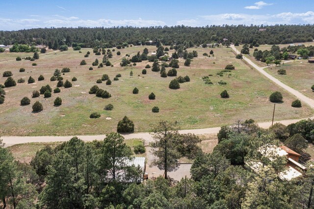 25 Mockingbird Hill Rd, Tijeras, NM 87059 - photo 13
