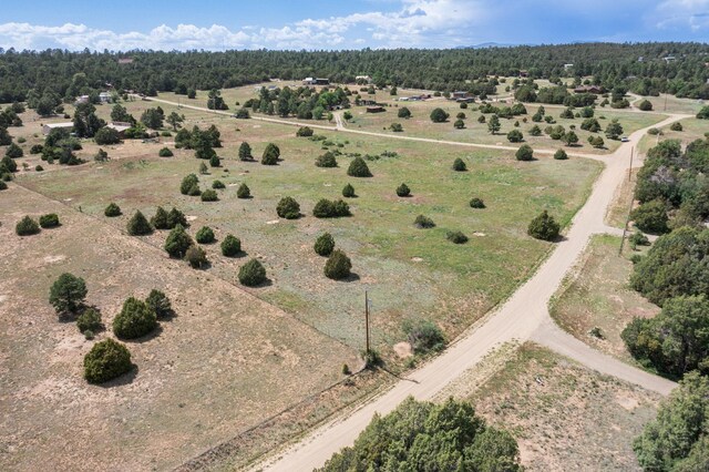 25 Mockingbird Hill Rd, Tijeras, NM 87059 - photo 12