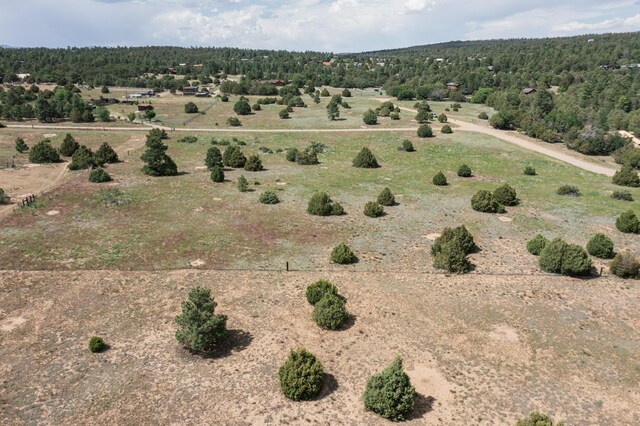 25 Mockingbird Hill Rd, Tijeras, NM 87059 - photo 11