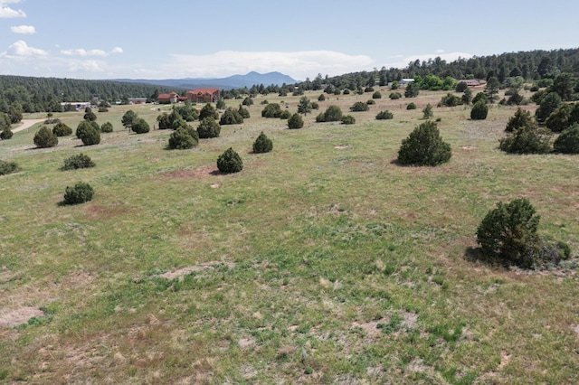 25 Mockingbird Hill Rd, Tijeras, NM 87059 - photo 22