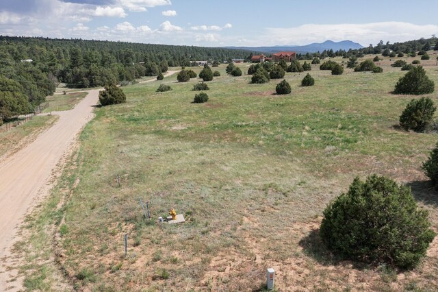 25 Mockingbird Hill Rd, Tijeras, NM 87059 - photo 21