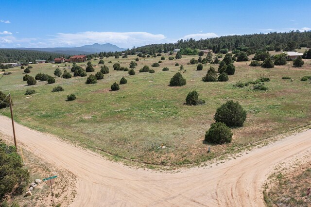 25 Mockingbird Hill Rd, Tijeras, NM 87059 - photo 20