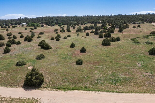25 Mockingbird Hill Rd, Tijeras, NM 87059 - photo 19