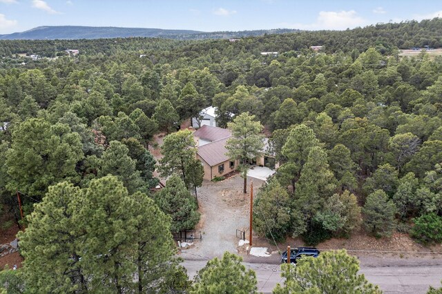 16 Bobolink Ln, Tijeras, NM 87059 - photo 47