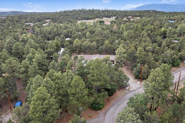 16 Bobolink Ln, Tijeras, NM 87059 - photo 45