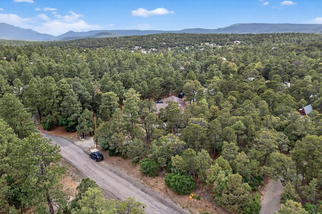 16 Bobolink Ln, Tijeras, NM 87059 - photo 44